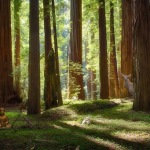 spirit of cannabis, cannabis and spirituality, kathleen harrison