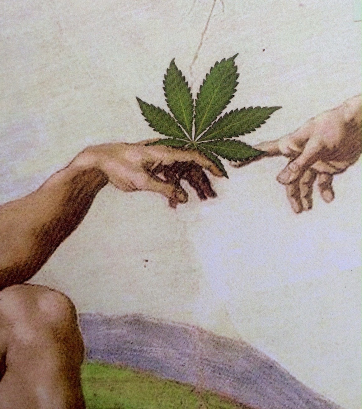 cannabis and spirituality, Stephen Gray, sacred herb
