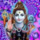 Psychedelic Shiva, psychedelics and spiritual practice